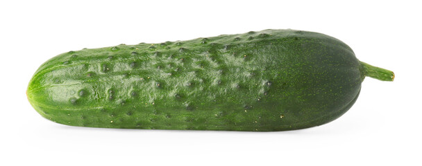 One fresh green cucumber isolated on white