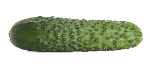 One whole fresh cucumber isolated on white