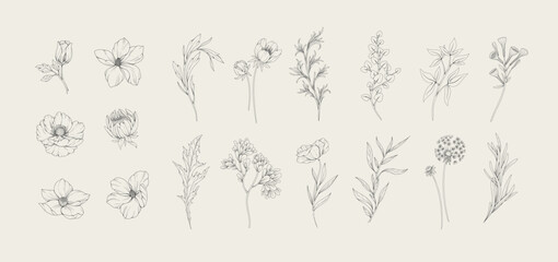 Botanic set of detailed various flowers and brunch. Luxury vintage floral collection for wedding invitation, wallpaper art or save the date card. Botanical vector illustration
