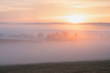 Beautiful nature landscape, amazing view of autumn meadow. Sun beams through fogg. Magic colours of Summer. Breathtaking wallpaper.
Serene land in the Countryside with solitery trees. Misty morning