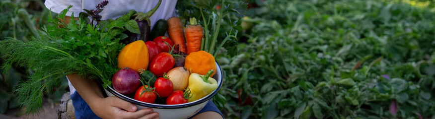 boy holds fresh vegetables in a bowl. Selective focus