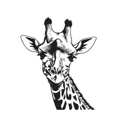 line art giraffe on white background. sketch style. Vector graphic icon animal.