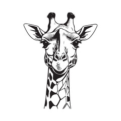 line art giraffe on white background. sketch style. Vector graphic icon animal.