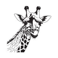 line art giraffe on white background. sketch style. Vector graphic icon animal.
