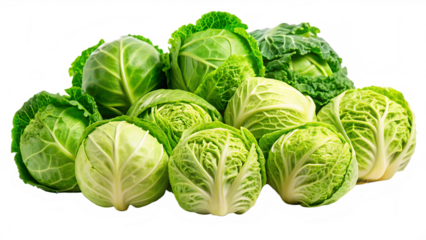  set of separate cabbage isolated on white background.AI GENERATED