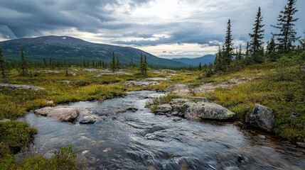 Mountain Stream Flowing Through Lush Landscape