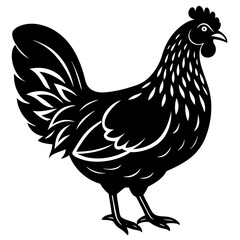 Funny cartoon hen  icon silhouette illustration with white background 