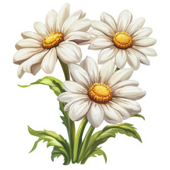 Fototapeta premium PNG Three daisies in a garden setting