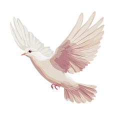 Fototapeta premium PNG White dove soaring gracefully above the ground