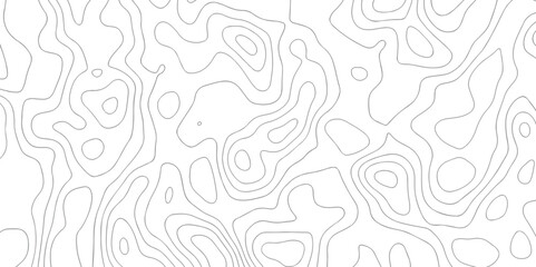 Fototapeta premium Abstract seamless paper cut world map design geometric background modern template . banner texture white template curve concept style .