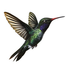 Obraz premium PNG Hummingbird flying in a clear blue sky
