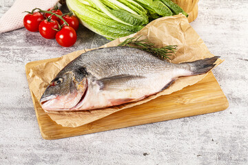 Raw dorada fish served rosemary