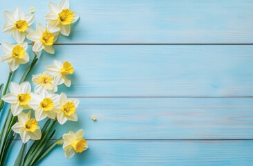 Obraz premium Light blue wooden background with daffodils