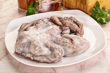 Raw cold octopus for cooking