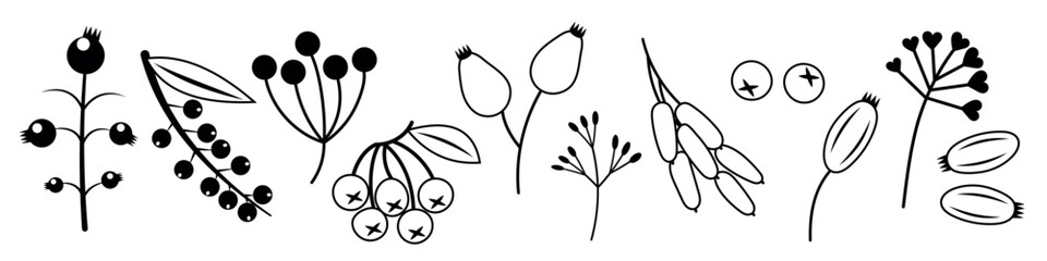 Autumn Berry Set. Black and white outline icons of berries. Drawing cute cosy design elements. Autumn, Thanksgiving