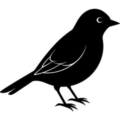  a  bird Silhouette Black Vector white background