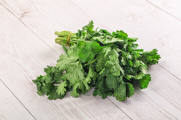 Fresh green cilantro branches heap