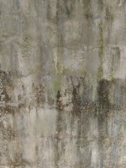 Background of old grunge cement wall and moss