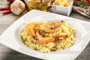 Italian pasta Orzo with prawn