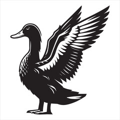 Fototapeta premium American Black Duck Silhouette, Black Duck Clipart, American Black Duck stretching one wing out illustration in black and white