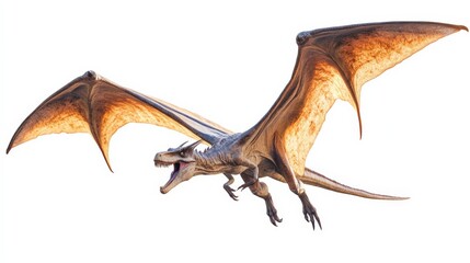 Obraz premium Fantasy dragon soaring with open wings, detailed mythical creature illustration on isolated white background, perfect for fantasy projects.