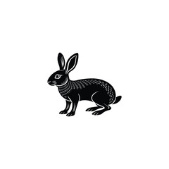 rabbit isolated on white