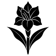 gladiolus flower silhouette vector line art icon