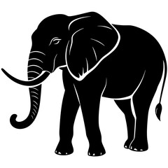 elephant isolated on white