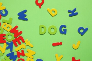 Word Dog made of magnetic letters on green background, flat lay. Learning alphabet