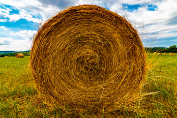 Hay bales in the field