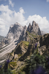 landscape in the mountains