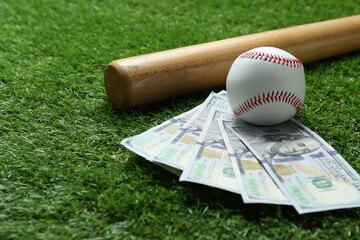 Baseball ball, bat and dollar banknotes on green grass outdoors