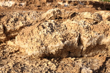 Ecological catastrophe of the Dead Sea. Erosion and salt formations on the surface of the earth. Jordan