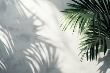 Abstract background of a light concrete wall with palm leaf shadows