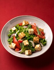 Indian healthy cuisine paneer salad on red background