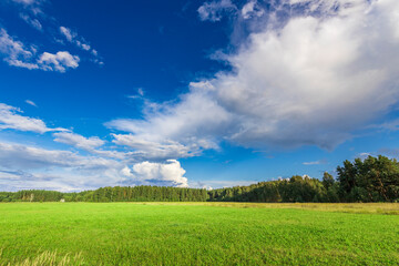 Obraz premium A large field of grass with a clear blue sky above