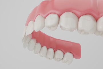 White teeth and healthy gums on white background.
