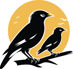 Myna silhouette Bird vector