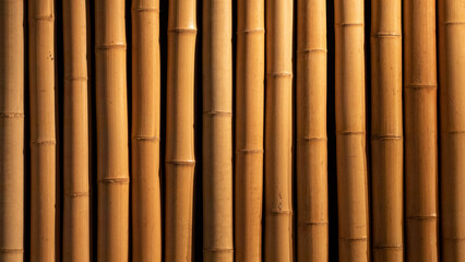 Fototapeta premium Dried yellow bamboo canes lined up as a natural wall
