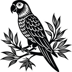 Parrot bird preached on a tree branched vector silhouette image 