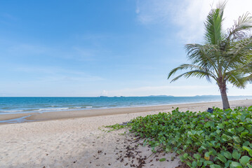 
Beautiful nature sea summer background,Sand beach