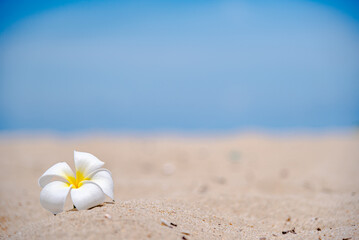 
Beautiful nature sea summer background,Sand beach