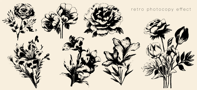 A black and white retro-style floral illustration featuring rose, peony, lily, and ranunculus flowers. Perfect for vintage-inspired aesthetic designs, botanical prints, and with a photocopy effect