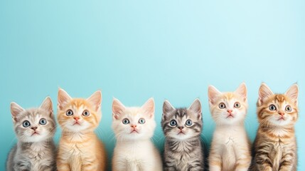 A collection of adorable cats with pastel-colored fur, set against a light blue background, isolated and playful.