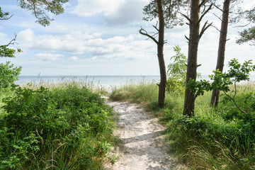 Zugang zum Ostseestrand