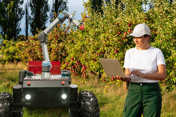 Farmer controls autonomous robot harvester with robotic arm harvesting apples on a smart farm....