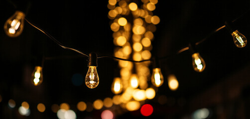fairy lights with light bulbs