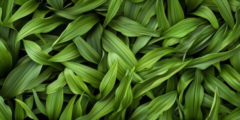 Lush green leaves background with various shapes and sizes, creating a vibrant and tranquil natural setting, perfect for botanical themes or eco-friendly projects. Copy space.