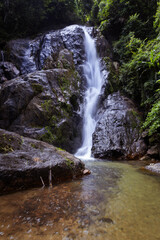 Fototapeta premium Waterfall in deep tropical rainforest with green rainy tree