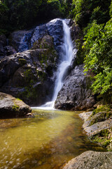 Waterfall in deep tropical rainforest with green rainy tree